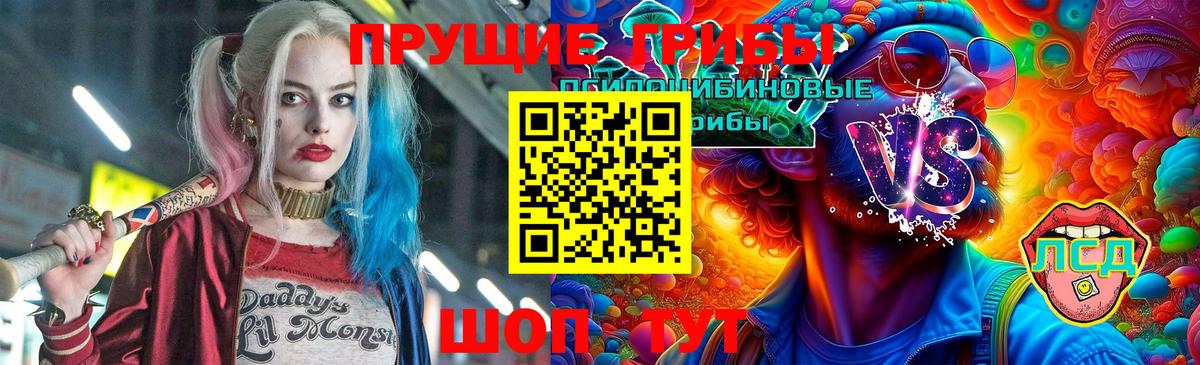 Железногорск  Псилоцибиновые грибы ЛСД  Вход с VPN  Псилоцибиновые грибы ЛСД 